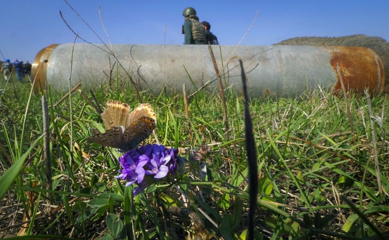 A butterfly sits on a flower near a fragment of a rocket after shelling by Azerbaijan's artillery in Stepanakert,  in the separatist region of Nagorno-Karabakh, Tuesday, October 20, 2020.(Photo by AP Photo/Stringer)